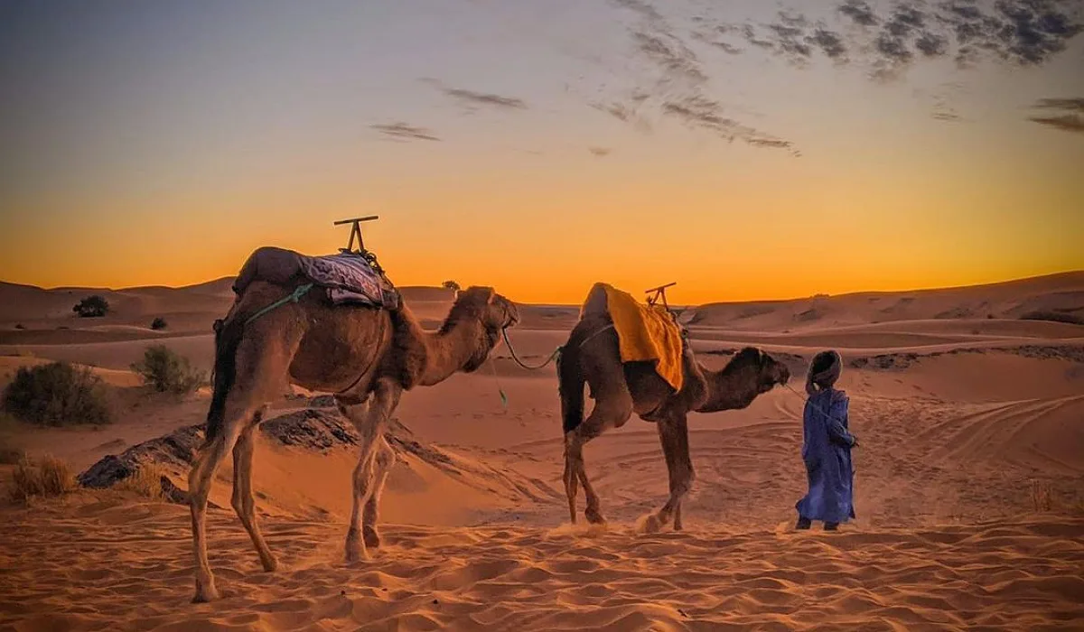 Merzouga Sahara