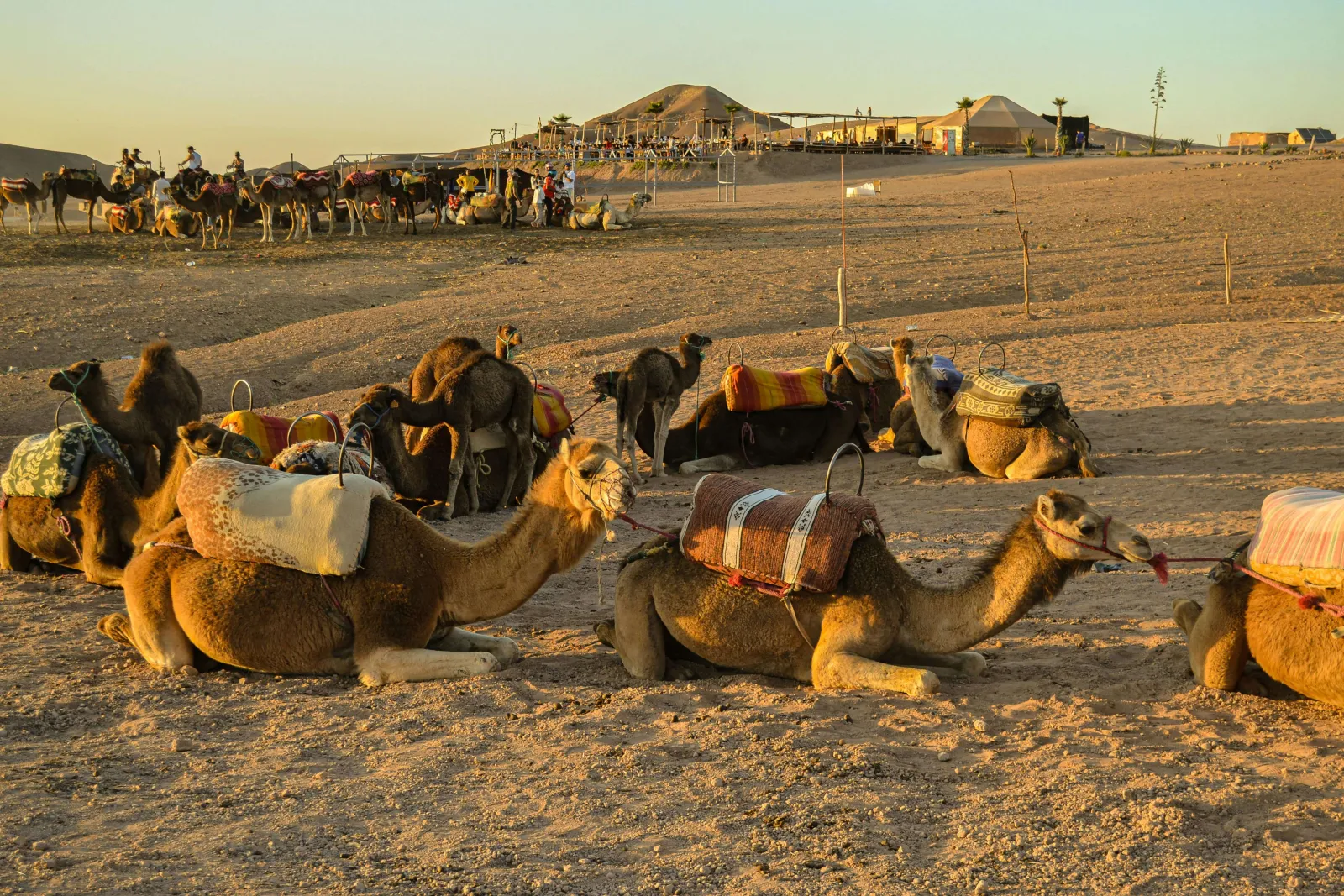 How Much Does a Camel Ride in Agafay Desert Cost? | Morocco Classic Tours