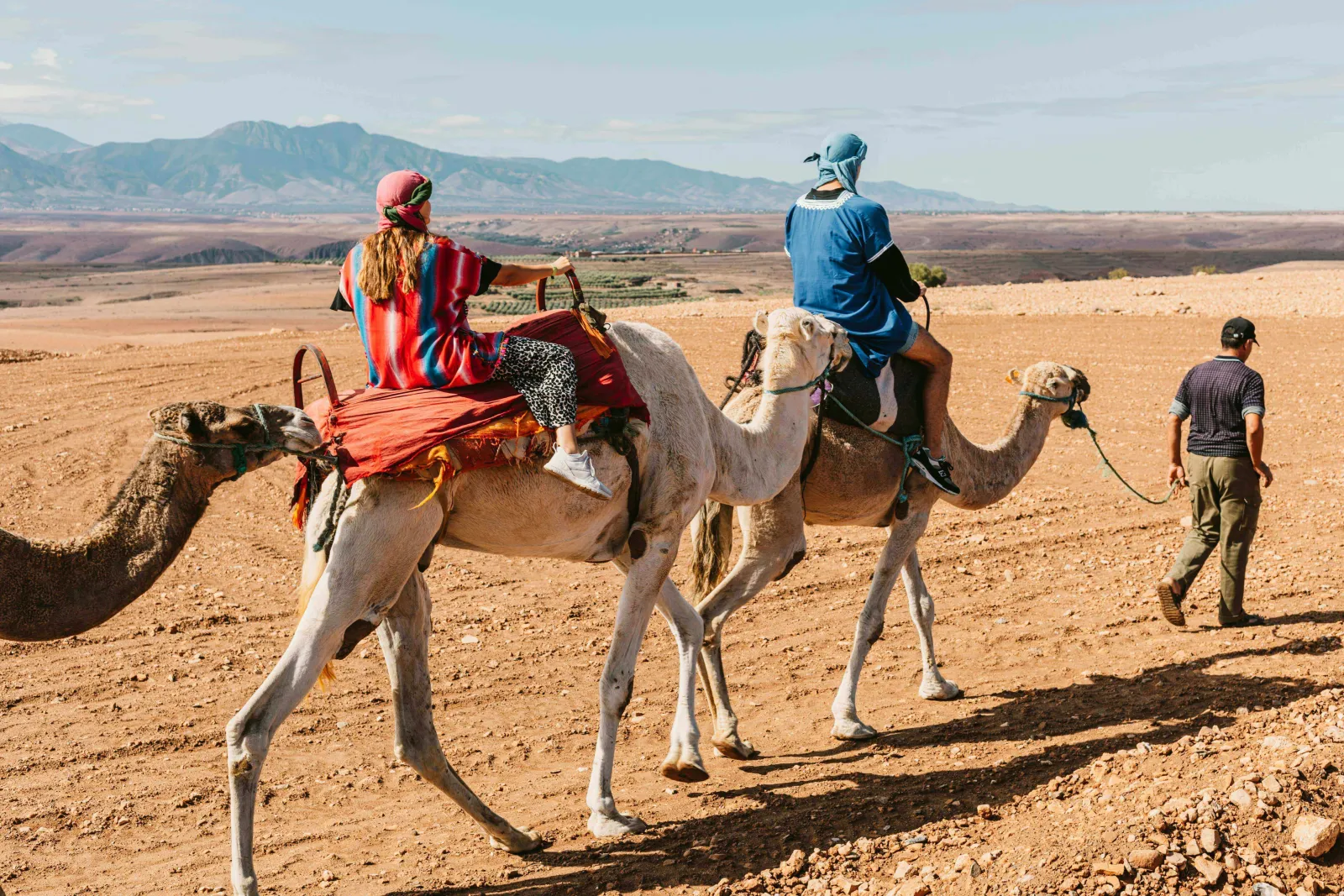 The Best Morocco Camel Riding Experiences for Your Desert Adventure