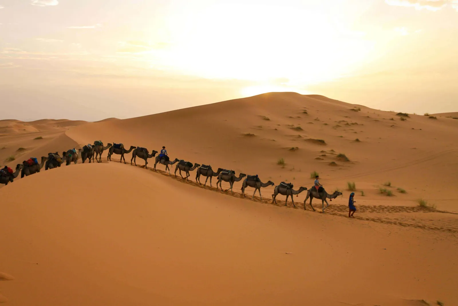 Explore the Best Morocco Tour Agency for Tailored Travel Experiences