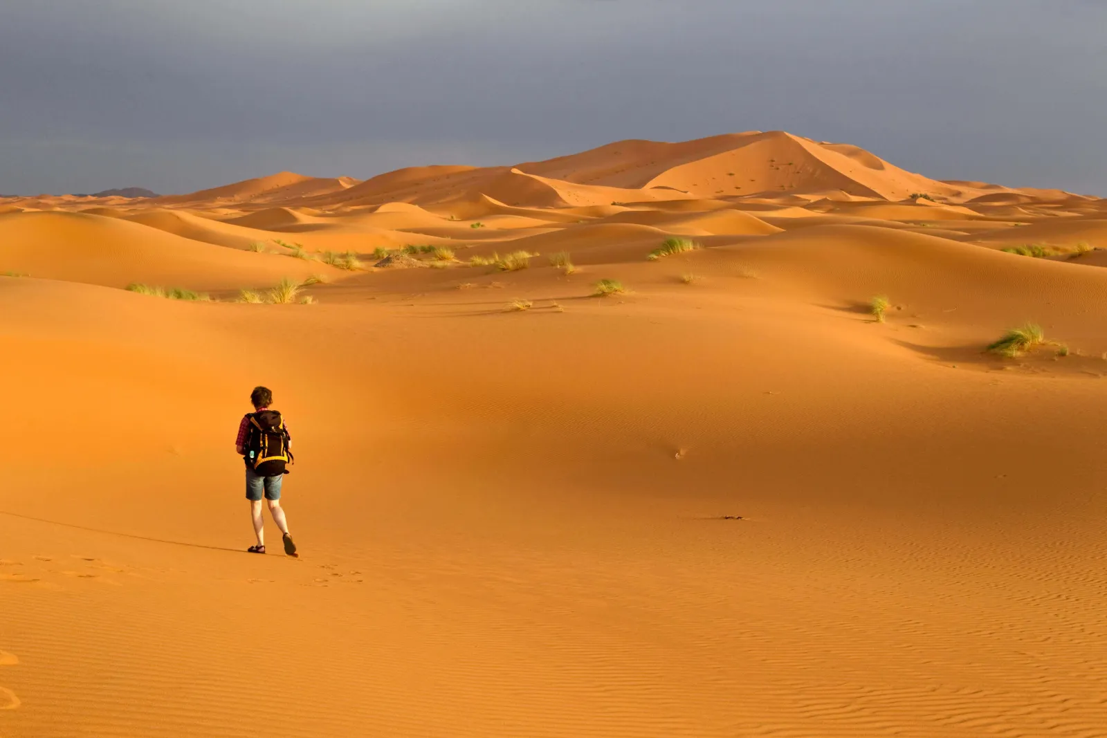 Top Morocco Tours for Solo Travellers: Discover the Best Experiences