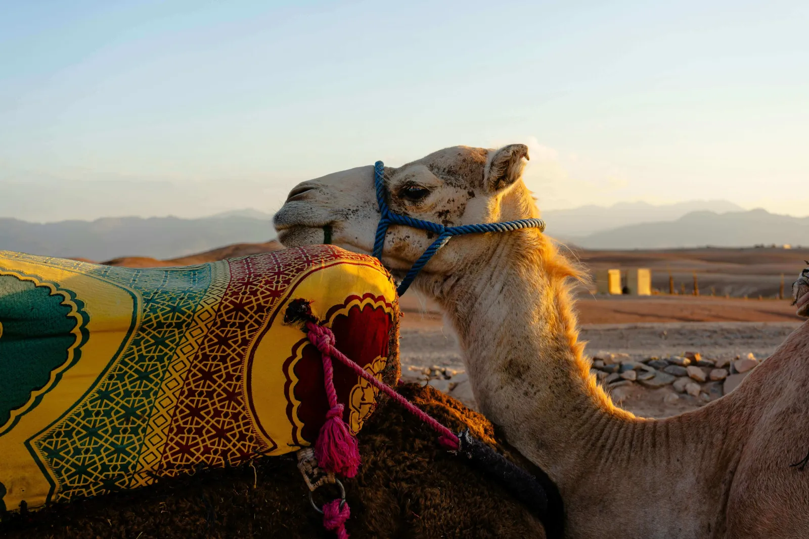 Exploring the Best Desert in Morocco: Your Essential Travel Guide