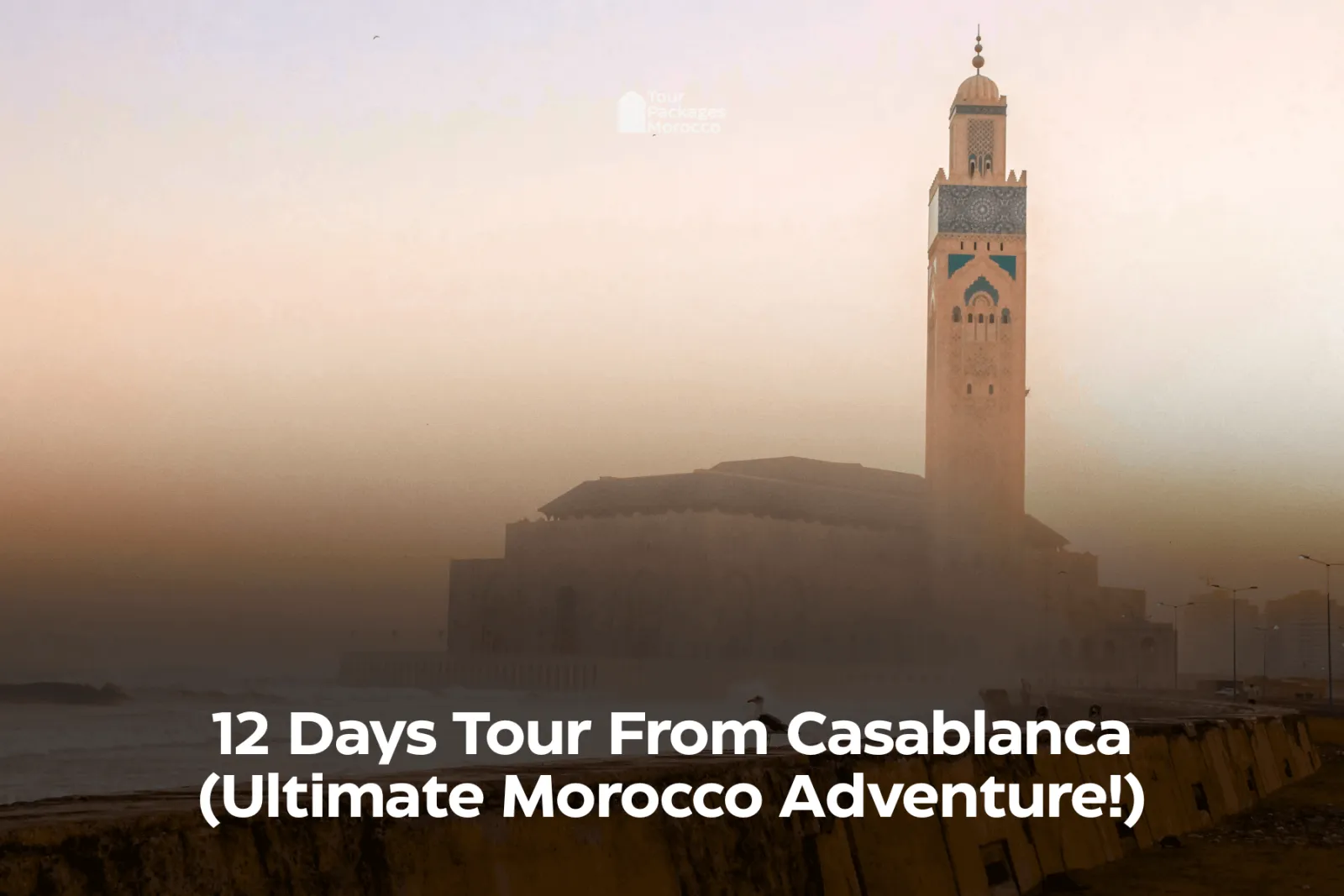 12 Days Tour From Casablanca (Ultimate Morocco Adventure!)