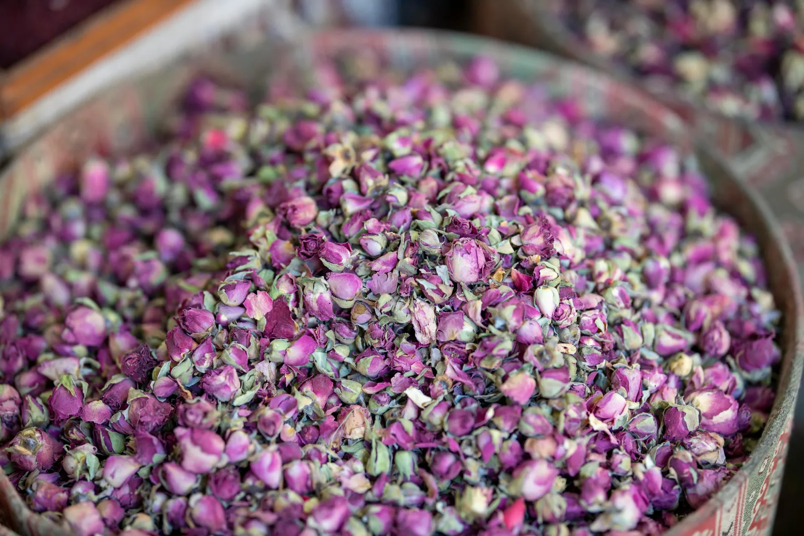 Valley of Roses, Morocco: Rose Festival and Route | Morocco Classic Tours