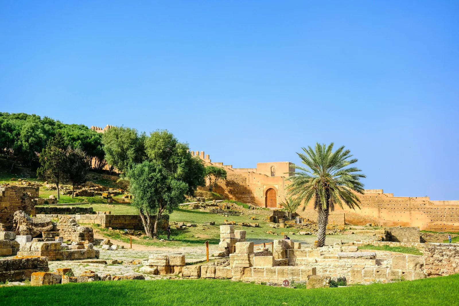 The Ultimate Day Trip from Casablanca to Rabat: What You Need to Know | Morocco Classic Tours