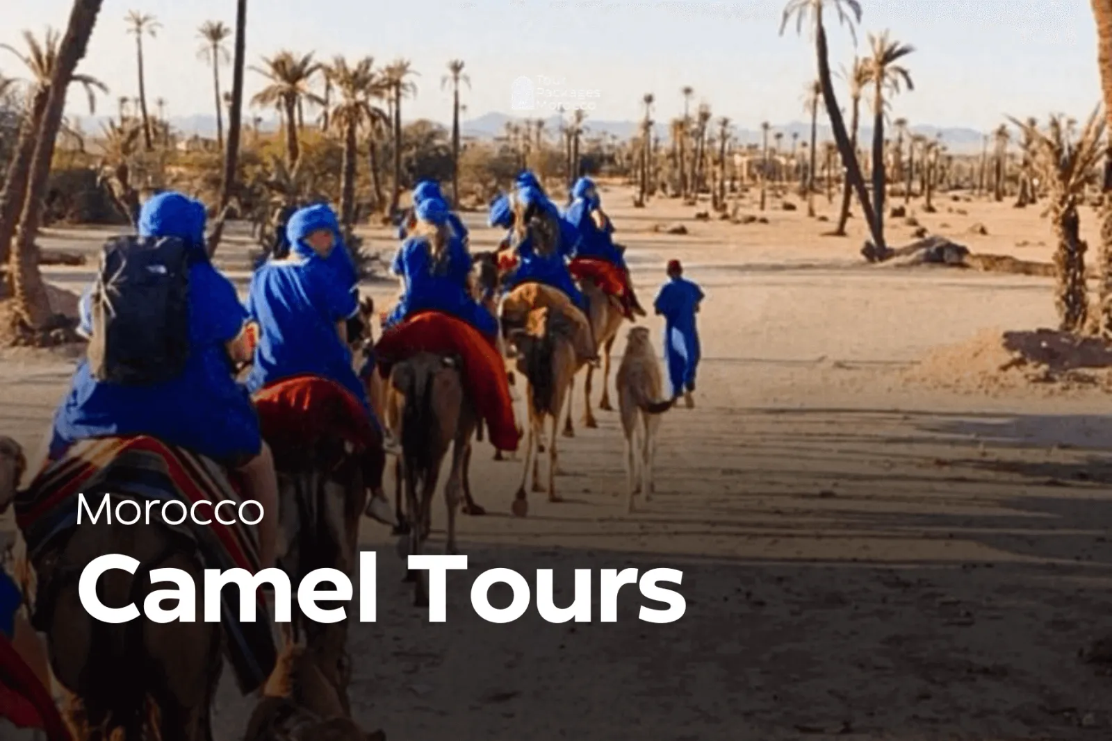 Morocco – Camel Tours