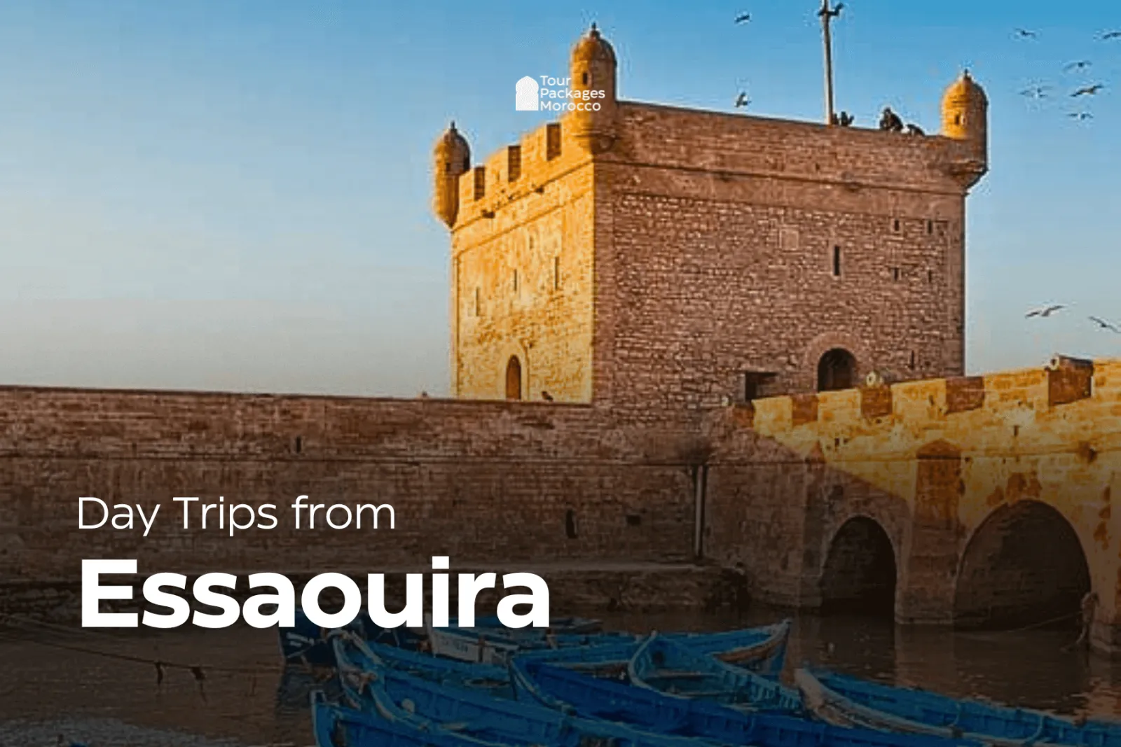Day Trip from Essaouira