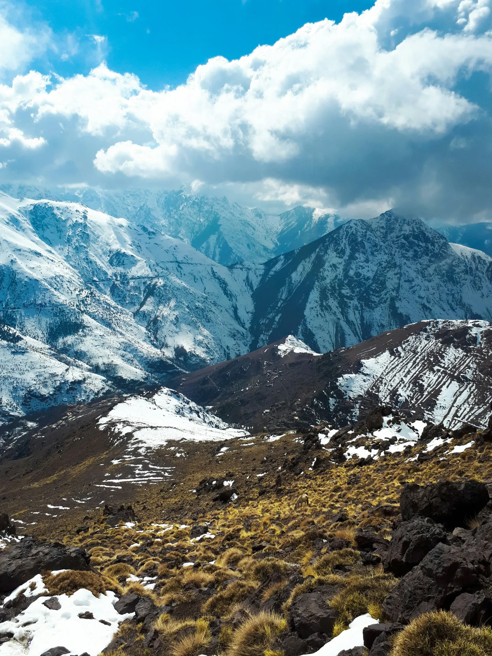 Trekking in Morocco: Best Trails and When to Go