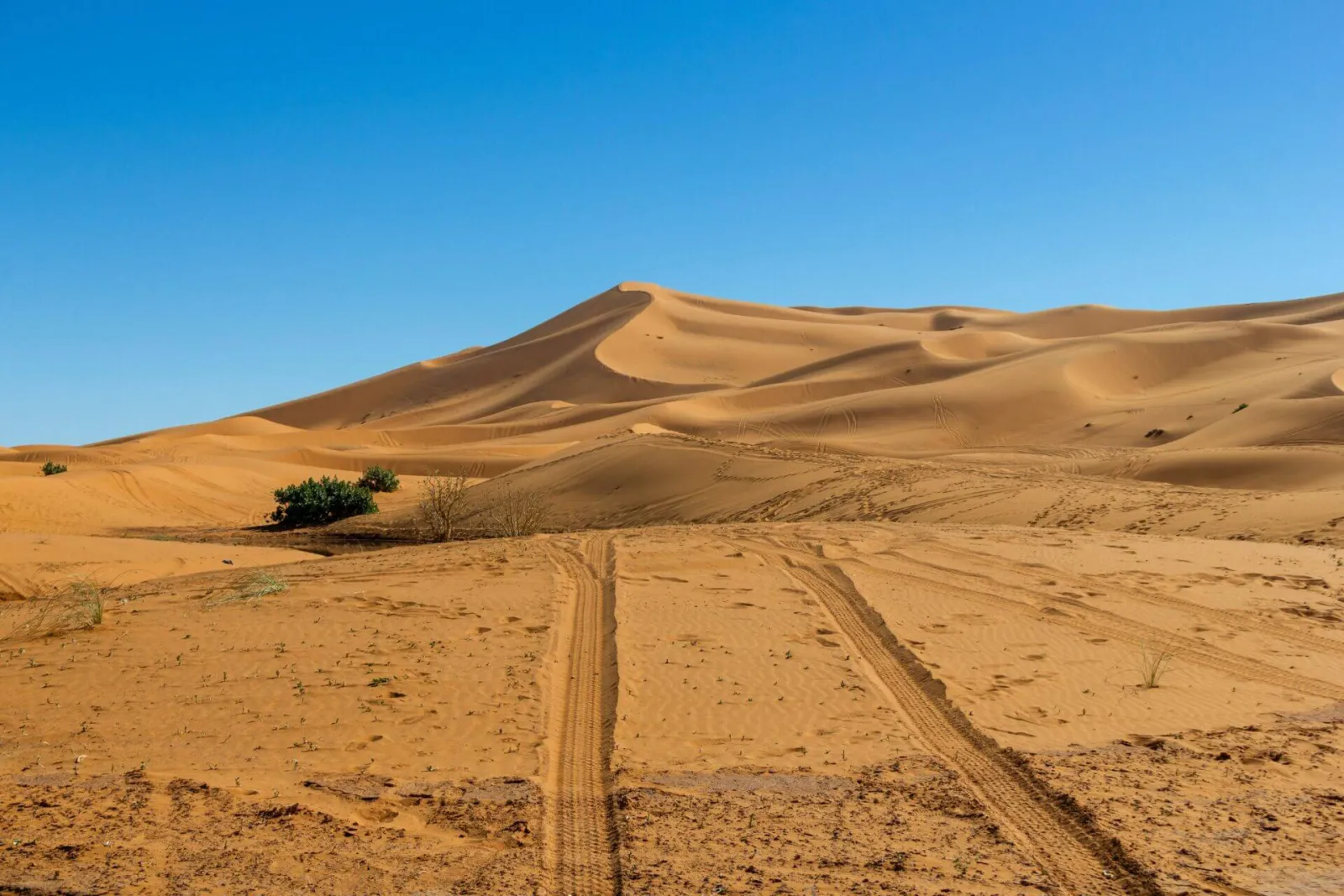 Top Shared Desert Tours from Marrakech for an Unforgettable Experience