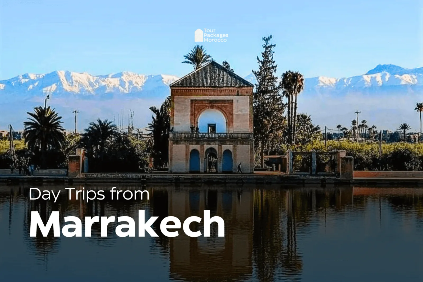 Day Trip from Marrakech