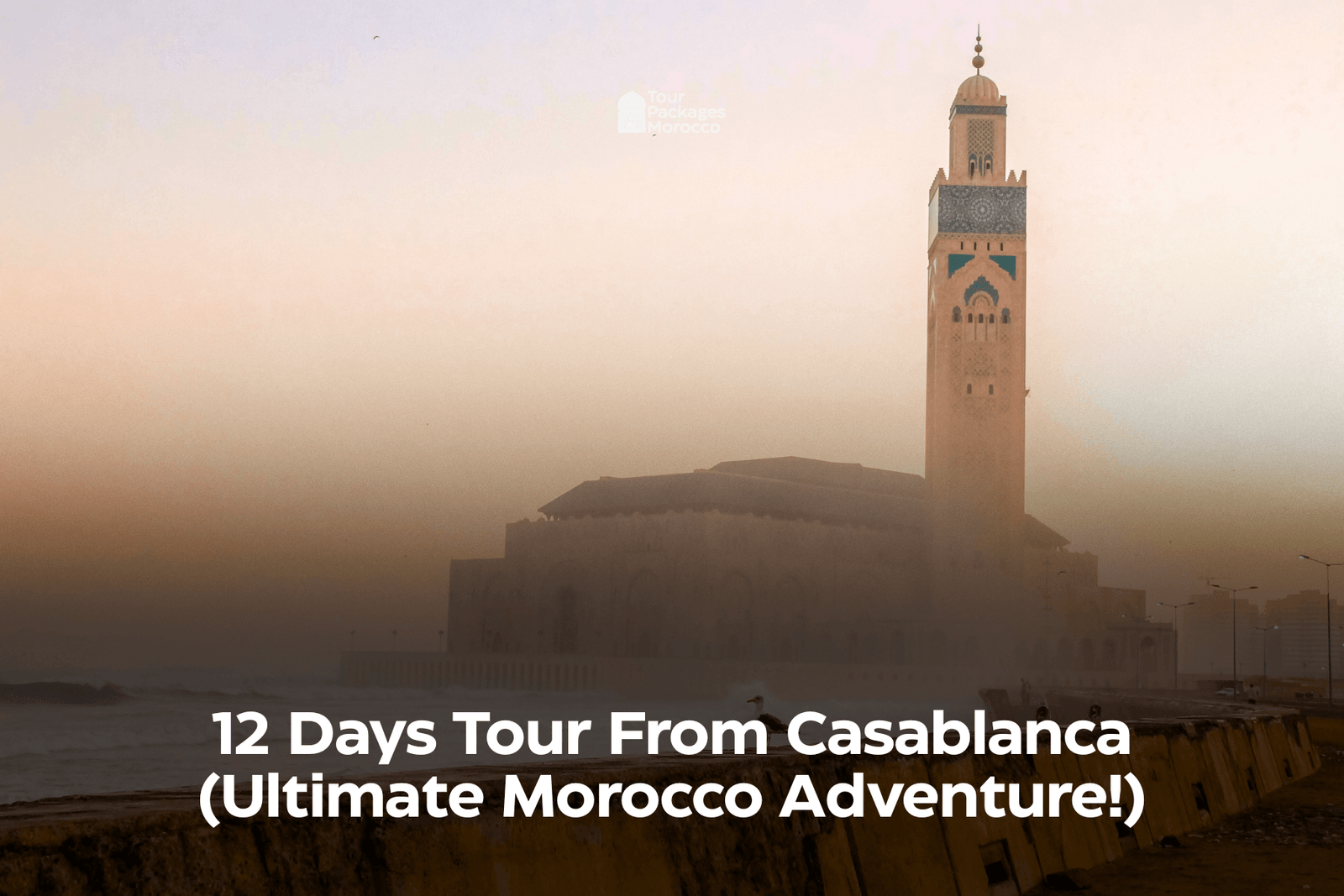 12 Days Tour From Casablanca (Ultimate Morocco Adventure!)