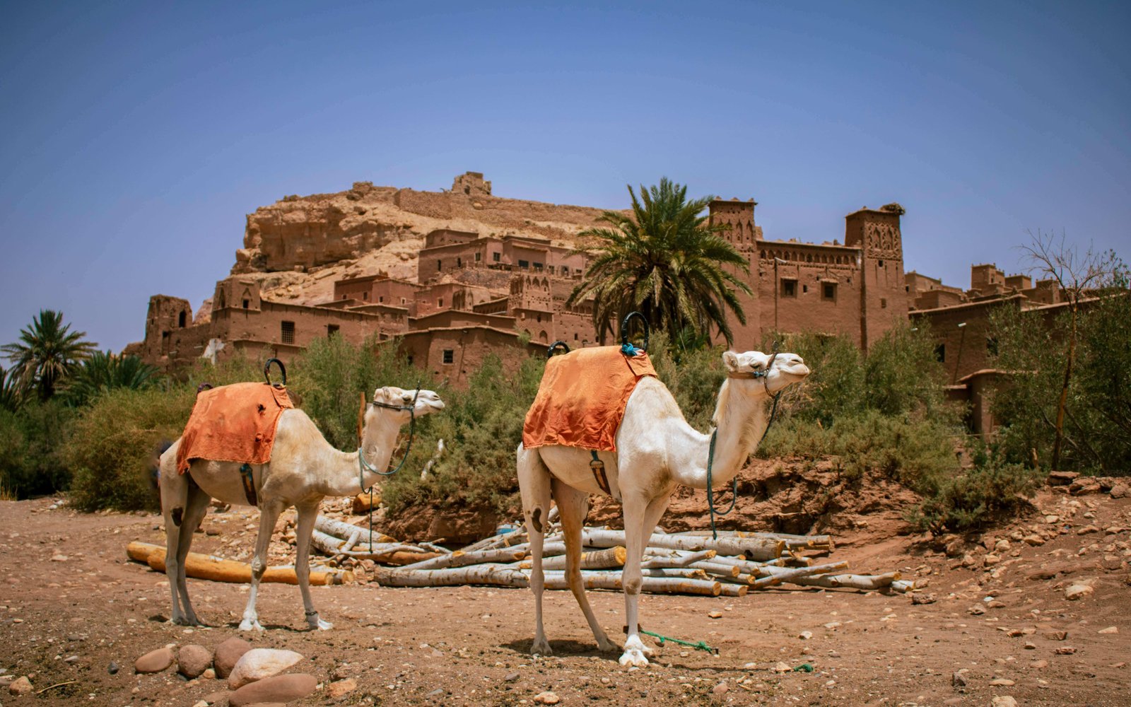 Best Marrakech to Fes Desert Tour 4 Days: Explore the Sahara Today