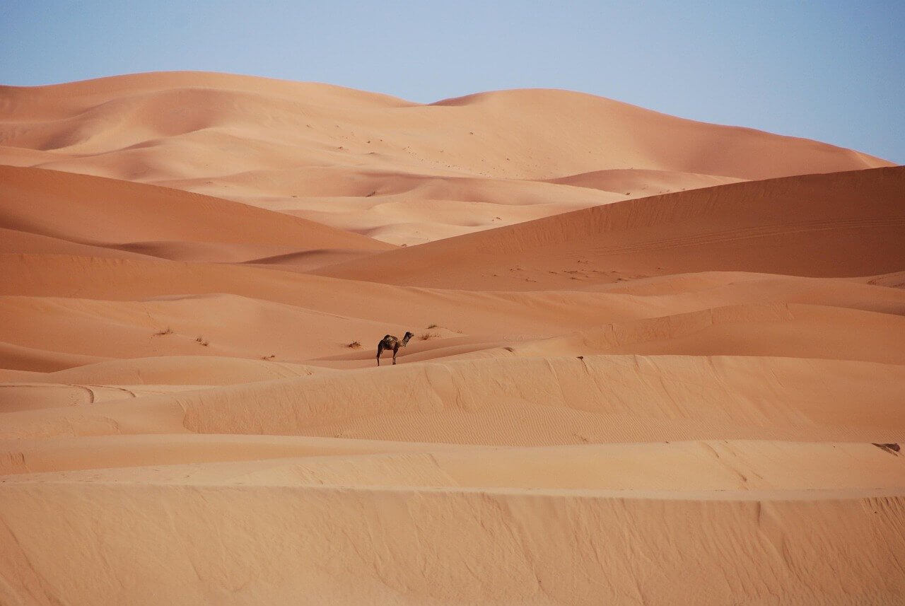 Desert-in-Morocco.jpg