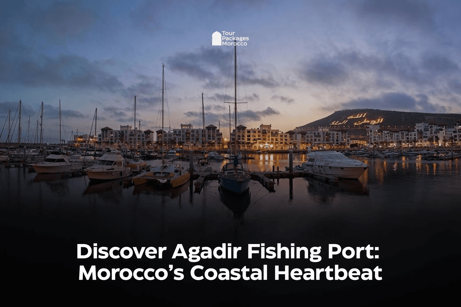 Discover Agadir Fishing Port: Morocco’s Coastal Heartbeat
