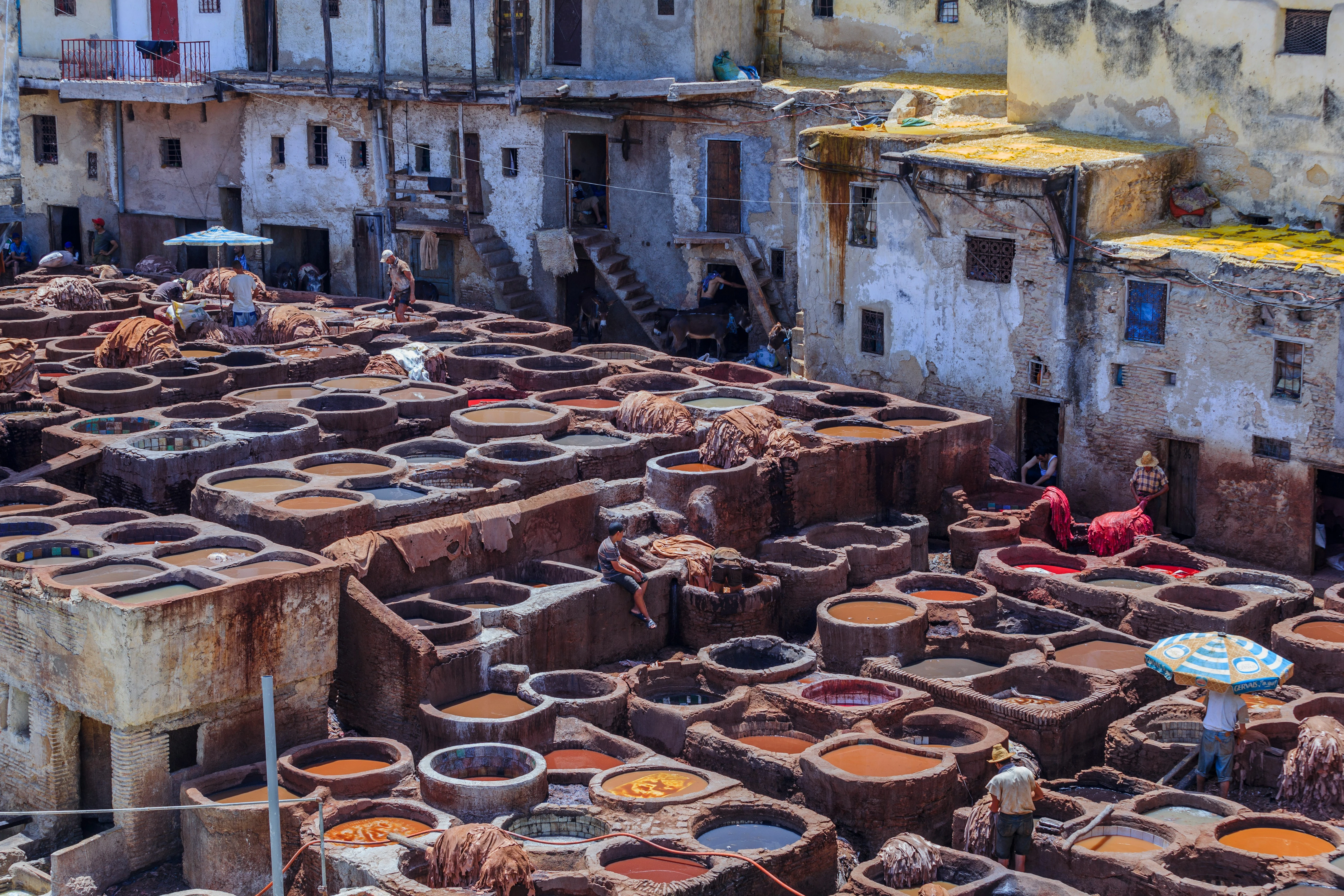 Best Fes Morocco Tours: Discover the Magic of Morocco's Cultural Heart