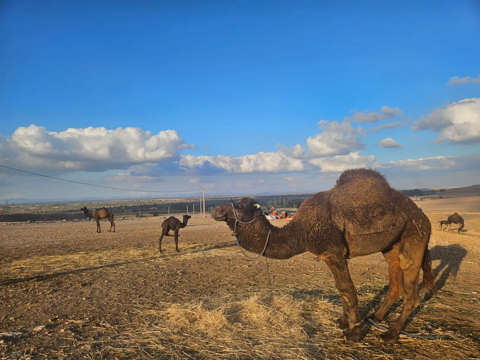 Discovering Morocco in Malaysia: Culture, Cuisine, and Travel Tips