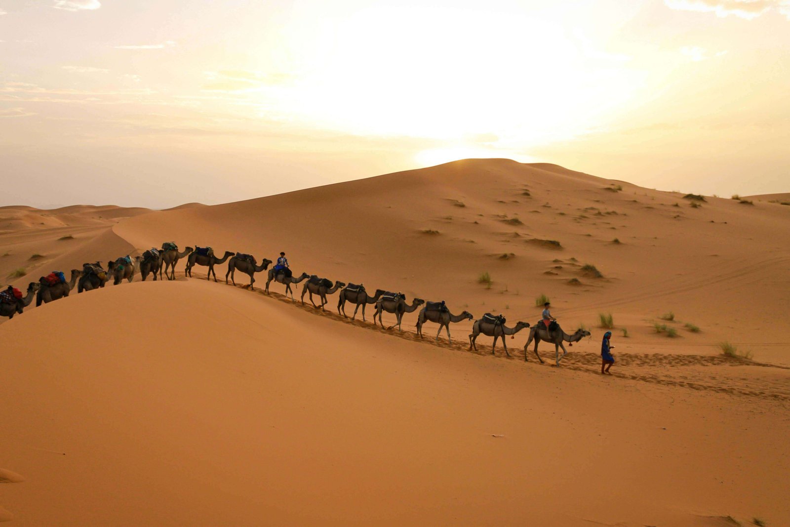 Explore the Best Morocco Tour Agency for Tailored Travel Experiences