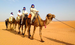 Camel Tours