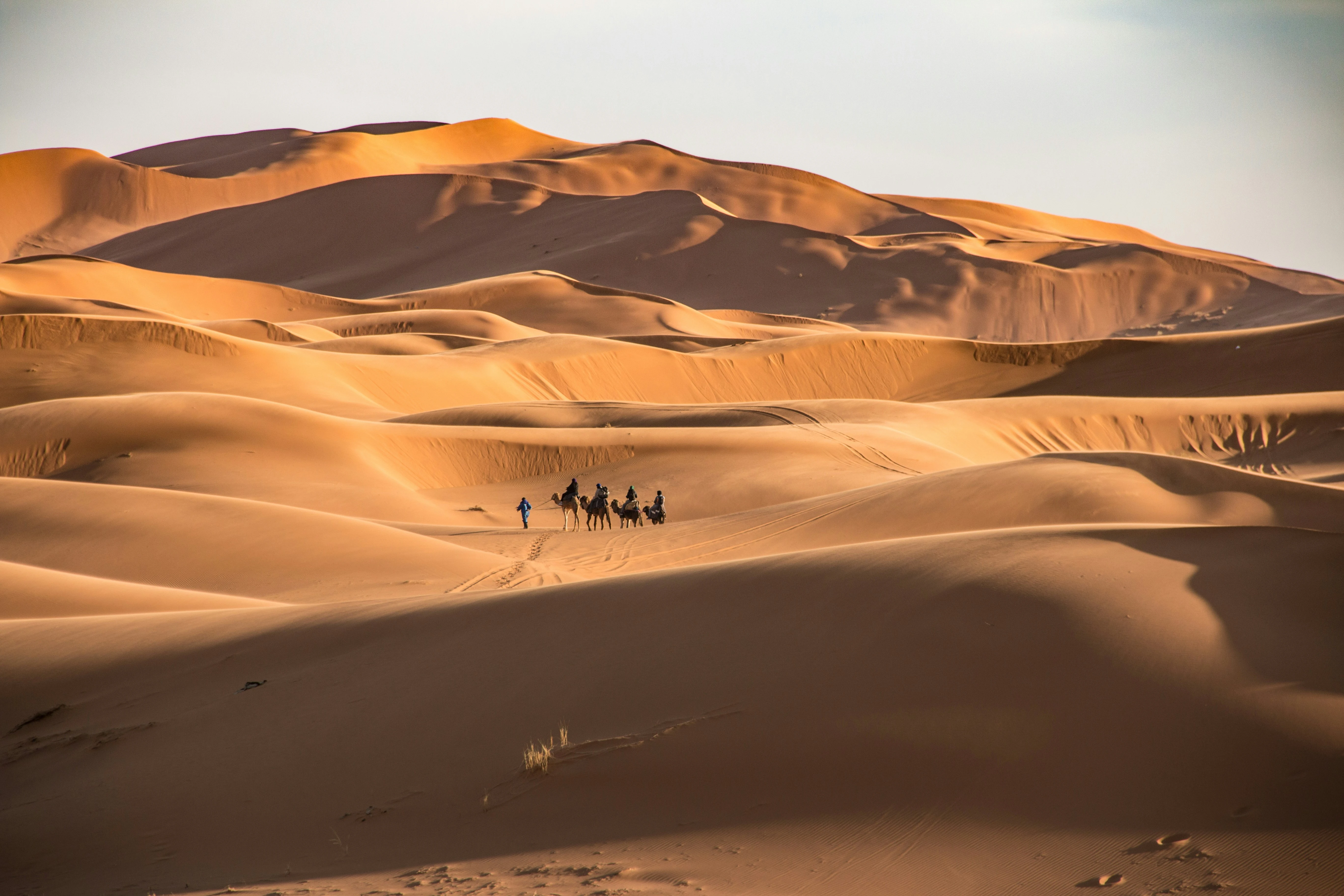 How Many Days Does a Marrakech to Fes Desert Tour Take? | Morocco Classic Tours