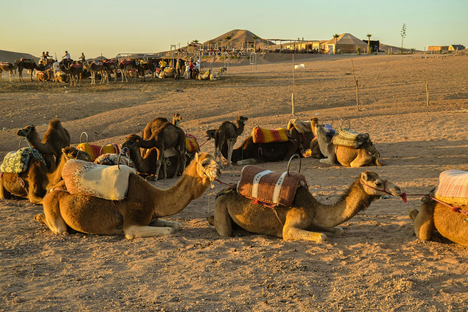 How Much Does a Camel Ride in Agafay Desert Cost? | Morocco Classic Tours
