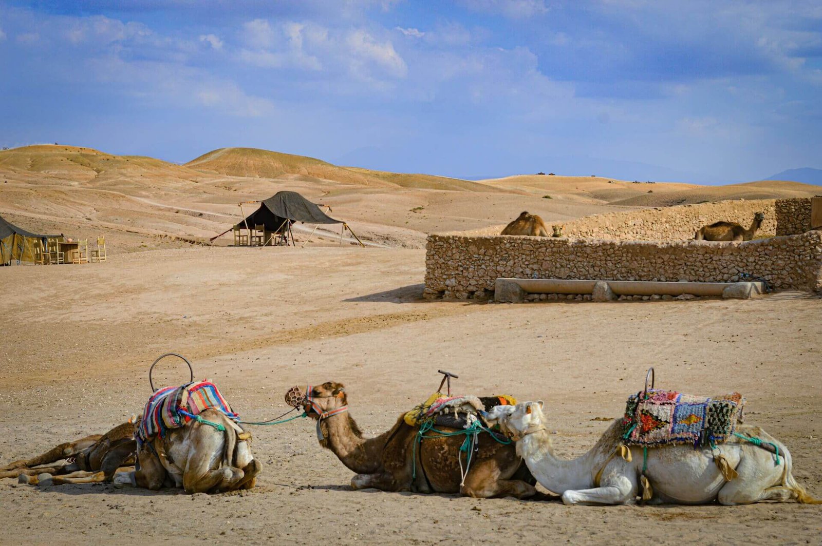 How Much Does a Camel Ride in Agafay Desert Cost? | Morocco Classic Tours