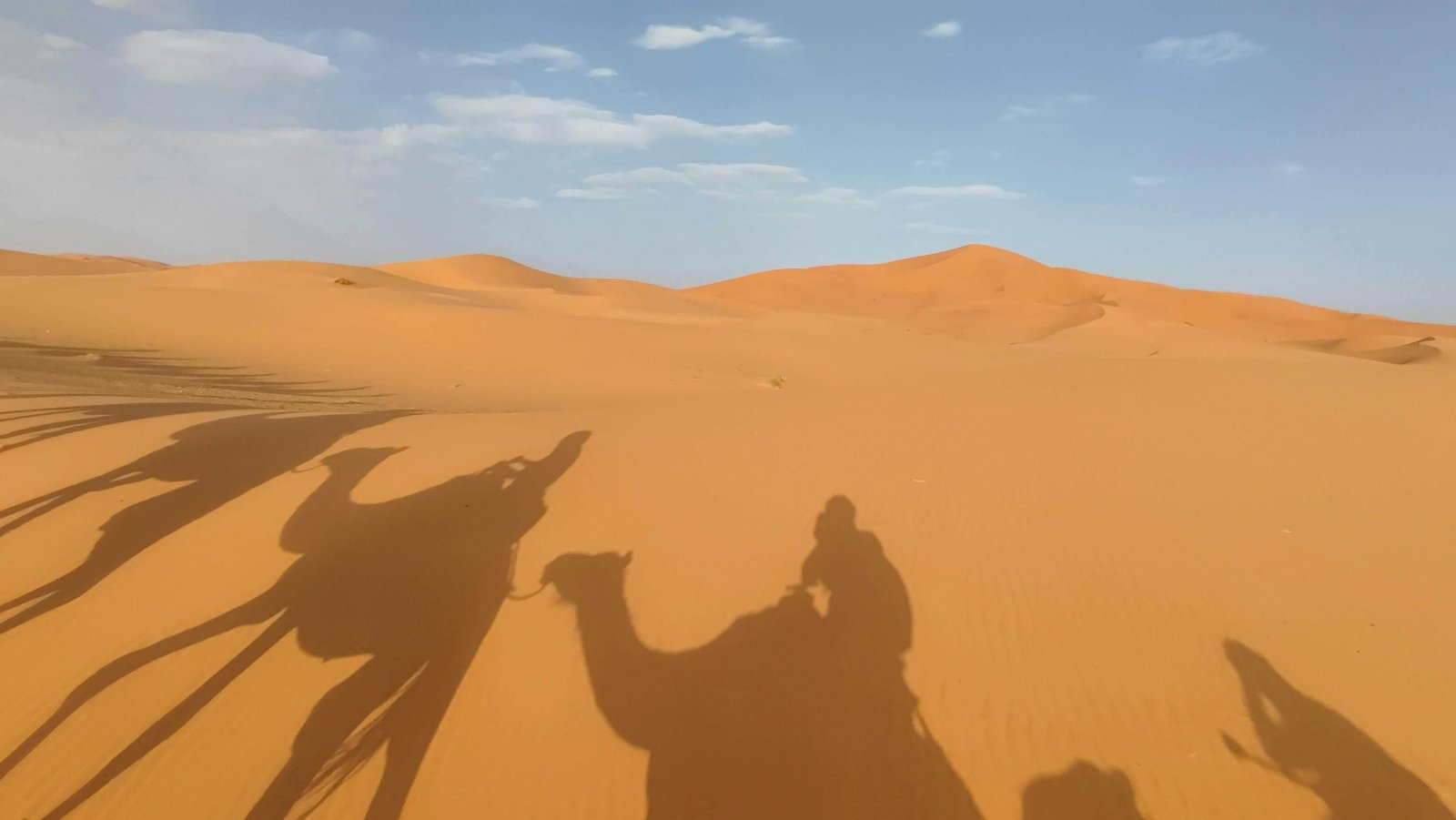 Fez to the Sahara: Best Guided Tours and Travel Routes | Morocco Classic Tours