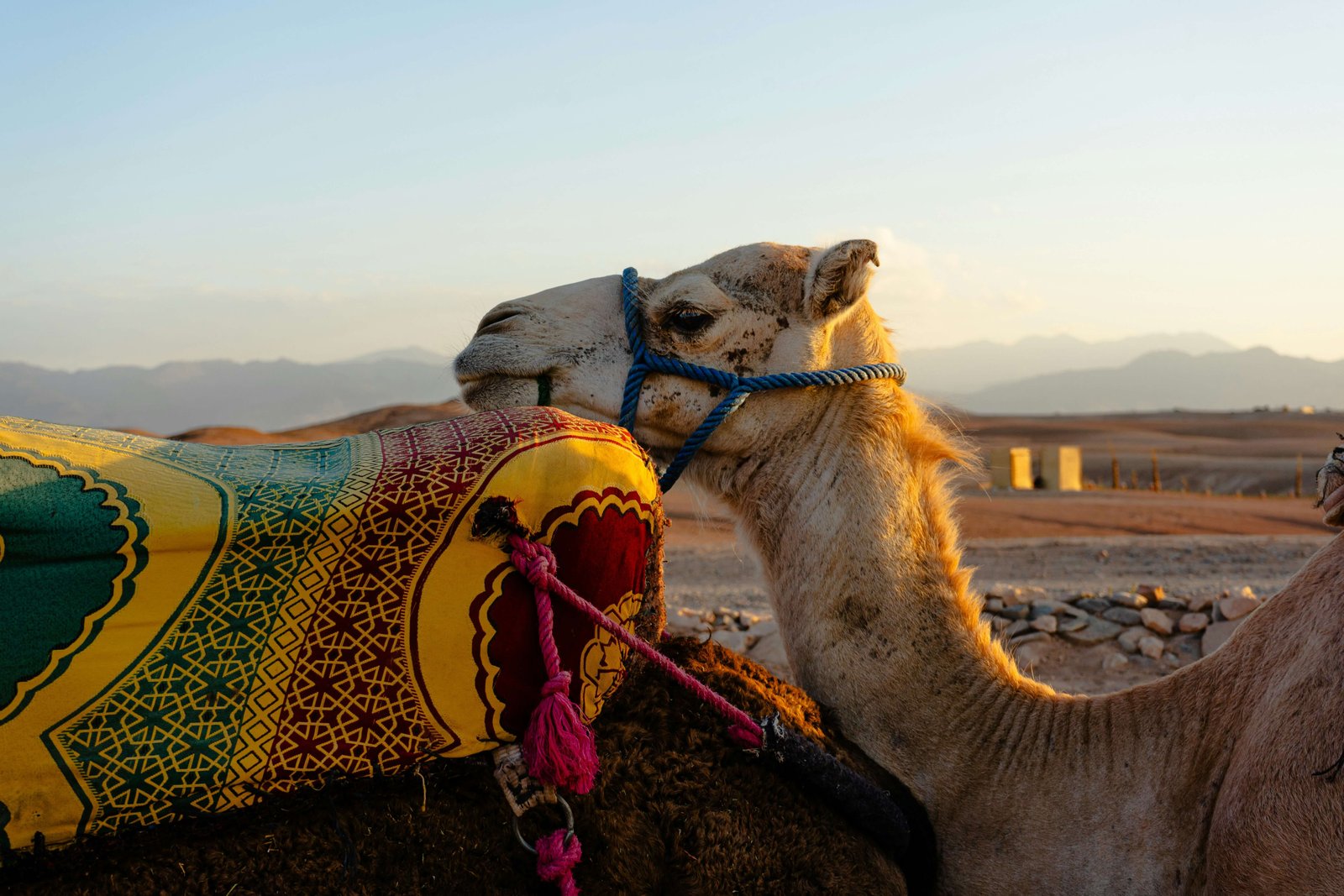 Agafay Desert Tour: What to Expect & How to Plan | Morocco Classic Tours