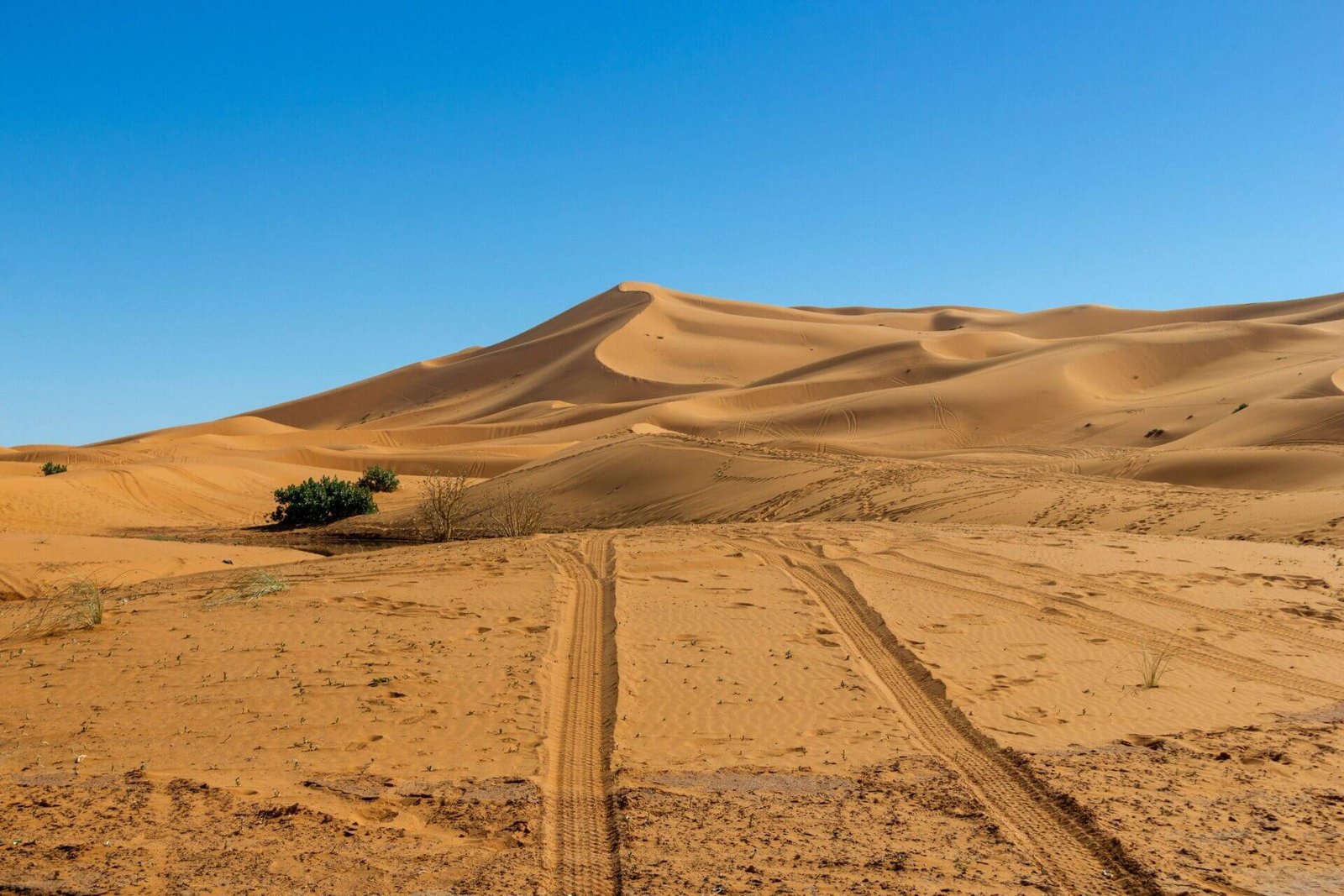 Morocco desert tour packages: the 2026 complete guide | Morocco Classic Tours