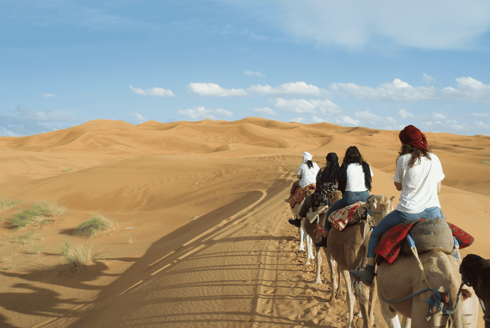 Is a Sahara Camel Ride Worth It? The Honest Truth | Morocco Classic Tours