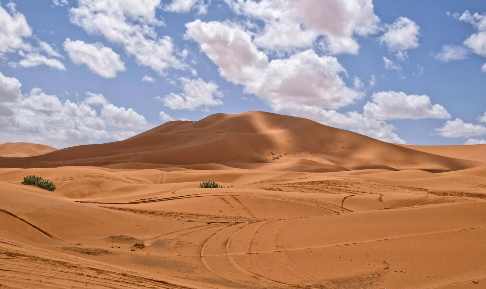 Best Time to Visit Morocco's Sahara: Month-by-Month Guide | Morocco Classic Tours