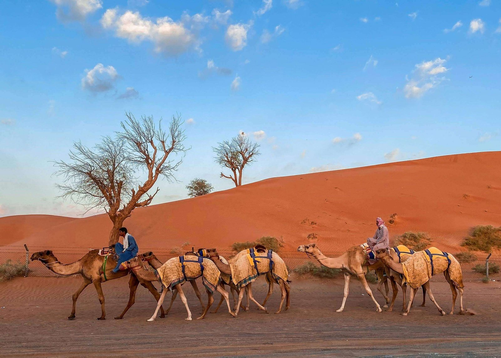 Sahara Desert Excursions in Morocco: Costs, Camps & Tips | Morocco Classic Tours