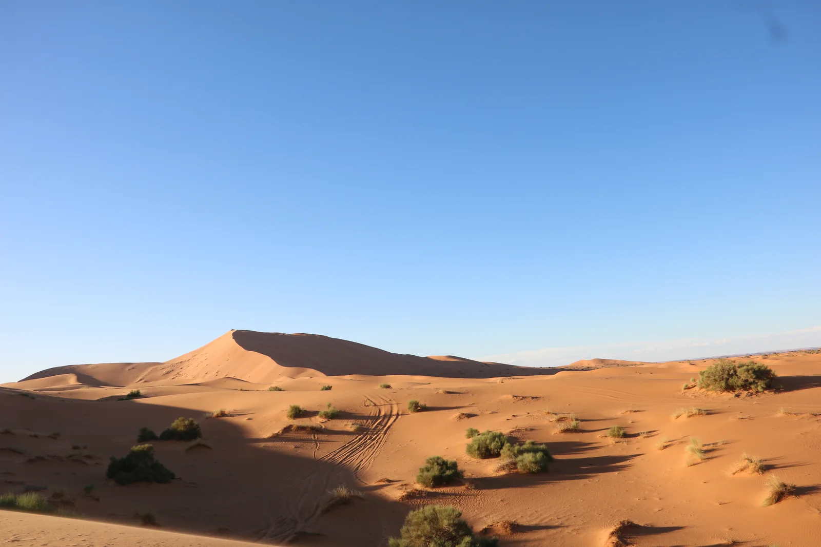 Erg Chebbi dunes at Merzouga under a clear sky