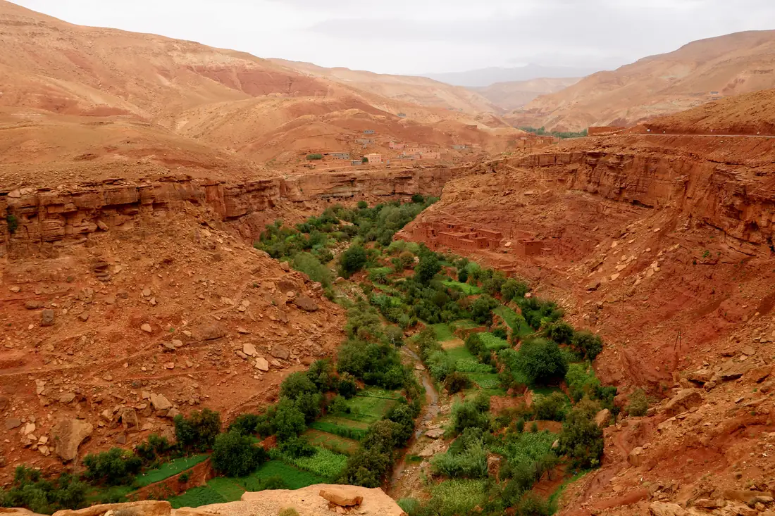 Red rock gorge with a cultivated valley floor on the road from Merzouga toward Ouarzazate