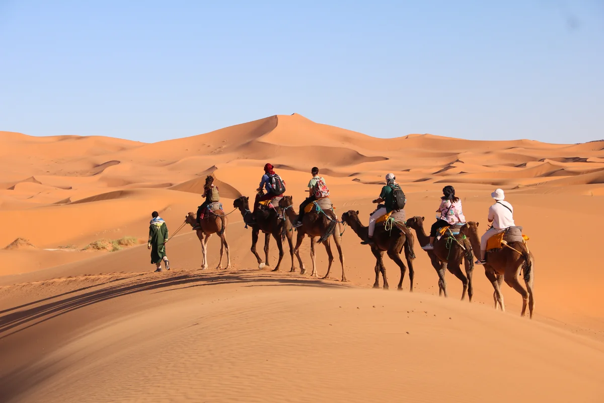 Camel trek crossing the Erg Chebbi dunes near Merzouga at sunset
