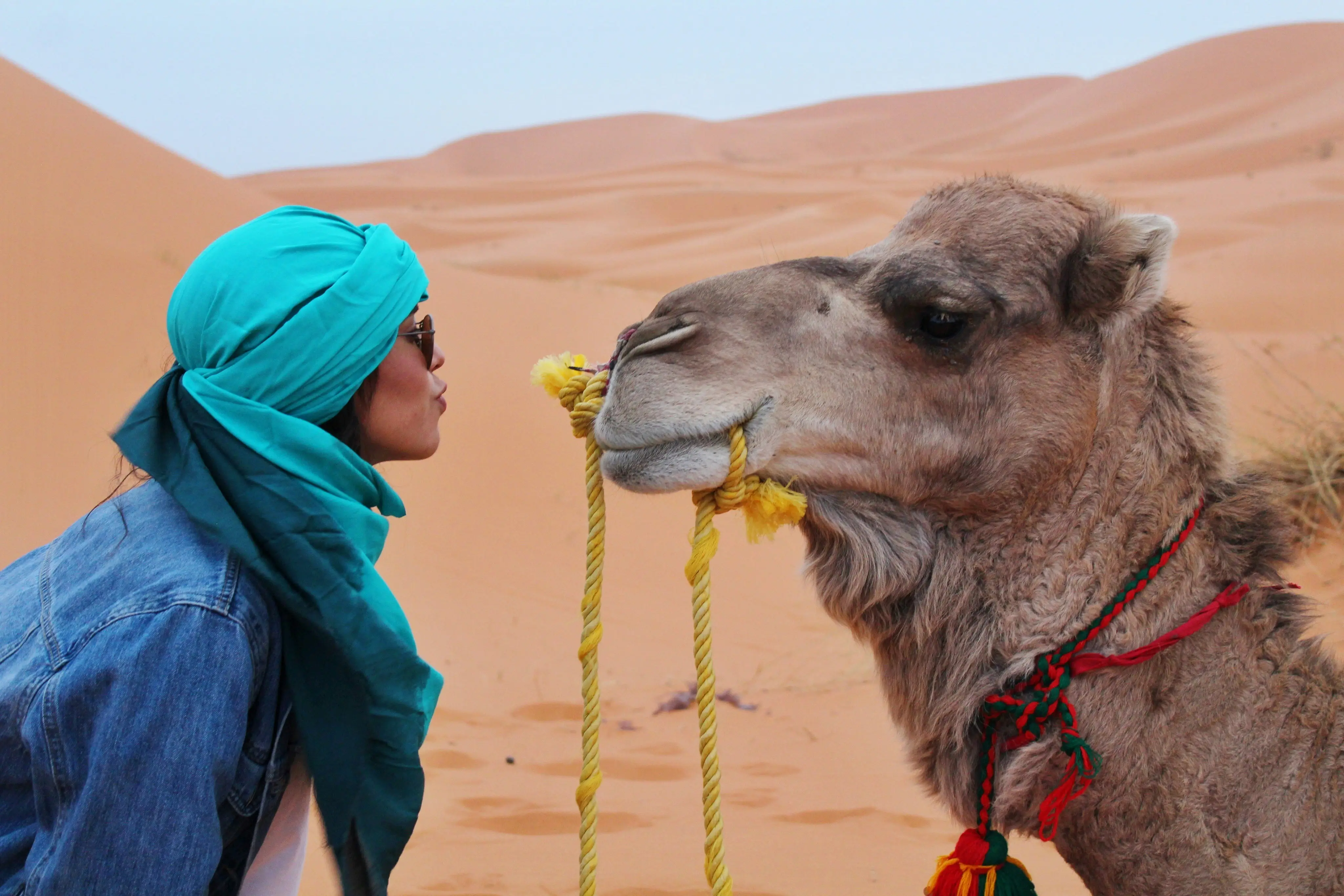Top Travel Agency in Morocco: Your Guide to Unforgettable Journeys