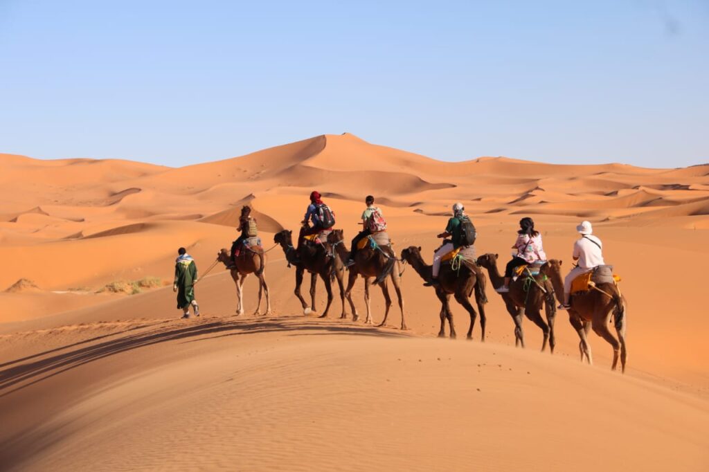 Best Tours Of Morocco
