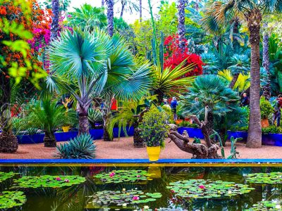The Majorelle Garden is a botanical garden and artist's landscape garden in Marrakech, Morocco. 18 april 2019
