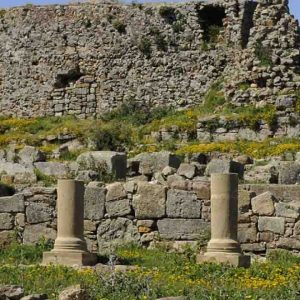 Roman-Ruins-at-12-century-BC-Lixus-Laraache-Morocco-1280x720